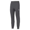 Heracles Pants ANT L Teknisk Joggebukse - Unisex